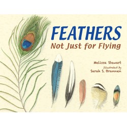 Feathers : Not Just for Flying