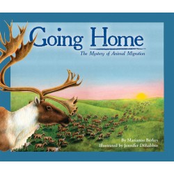 Going Home: Mystery of...