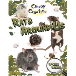 Rats Around Us