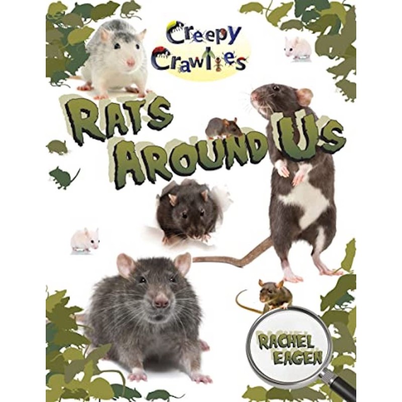 Rats Around Us