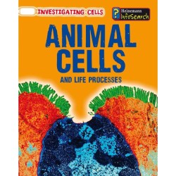 Animal Cells