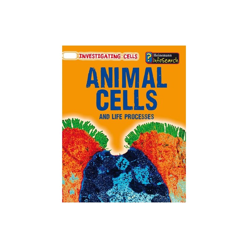 Animal Cells