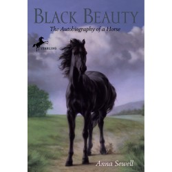 Black Beauty