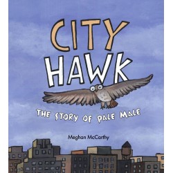 City Hawk: The Story of...