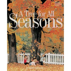 Tree For All Seasons