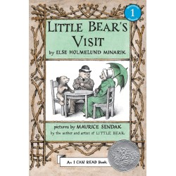 Little Bear's Visit