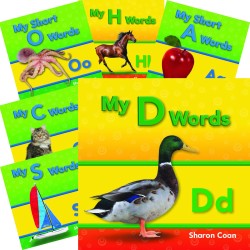 My First Consonants and Vowels (Set of 21)