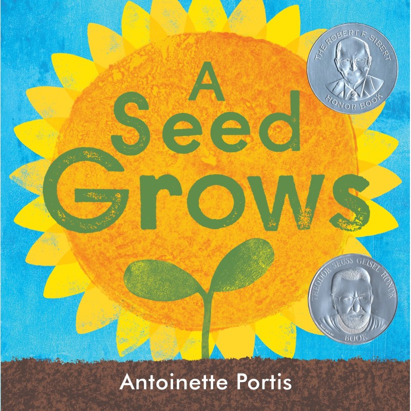 A Seed Grows A Seed Grows