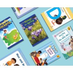 Phonics and Decodables Classroom Library 1 Multi-Copy Collection: 20 Titles, 6 Copies Each