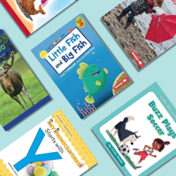 Phonics and Decodables Classroom Library 1 Multi-Copy Collection: 10 titles, 12 Copies Each