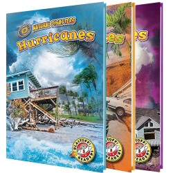 Natural Disasters (Set of 12)