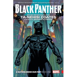 Black Panther: A Nation Under Our Feet Book 1