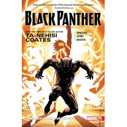 Black Panther: A Nation Under Our Feet Book 2