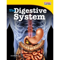 The Digestive System (Prior)