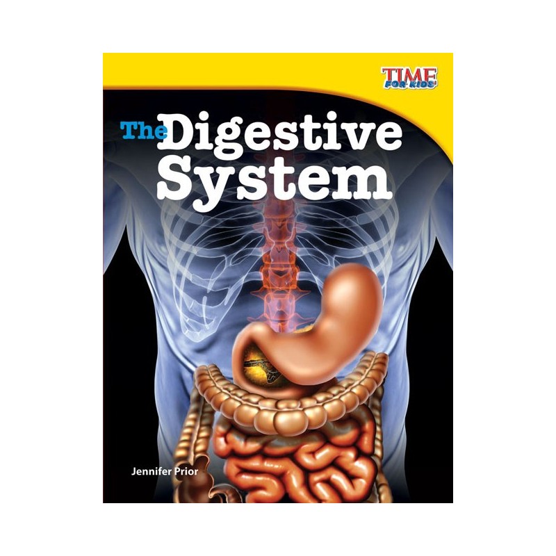 The Digestive System (Prior)