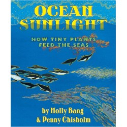 Ocean Sunlight: How Tiny...