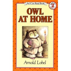 Owl at Home