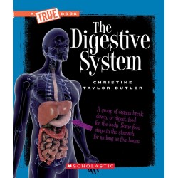 The Digestive System...