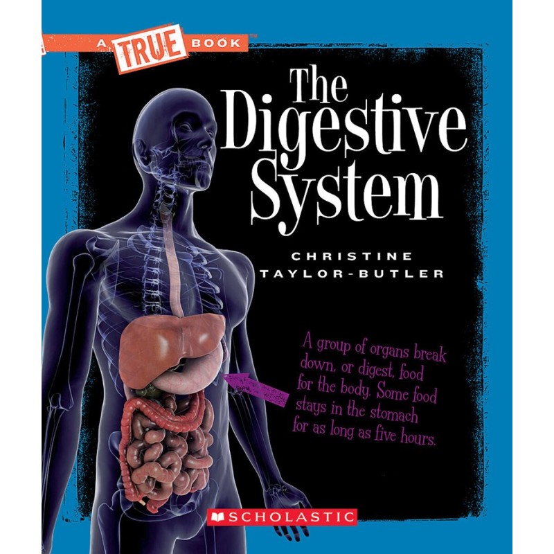 The Digestive System (Taylor- Butler)