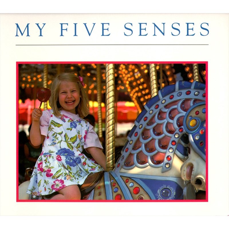 My Five Senses